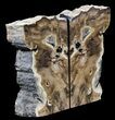 Petrified Wood Bookends - Oregon #56039-1